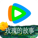 异世女王驾到莞尔wr